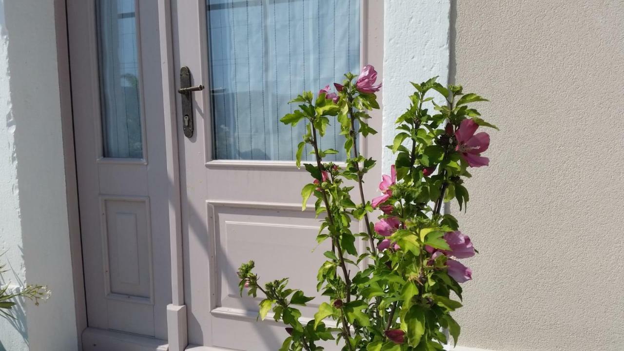 Vila Flora Sečovlje Eksteriør bilde